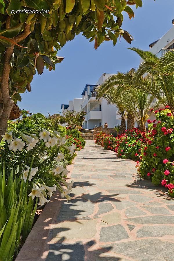 Chc Sound Of The Sea Aparthotel Karpathos Town  Exterior photo